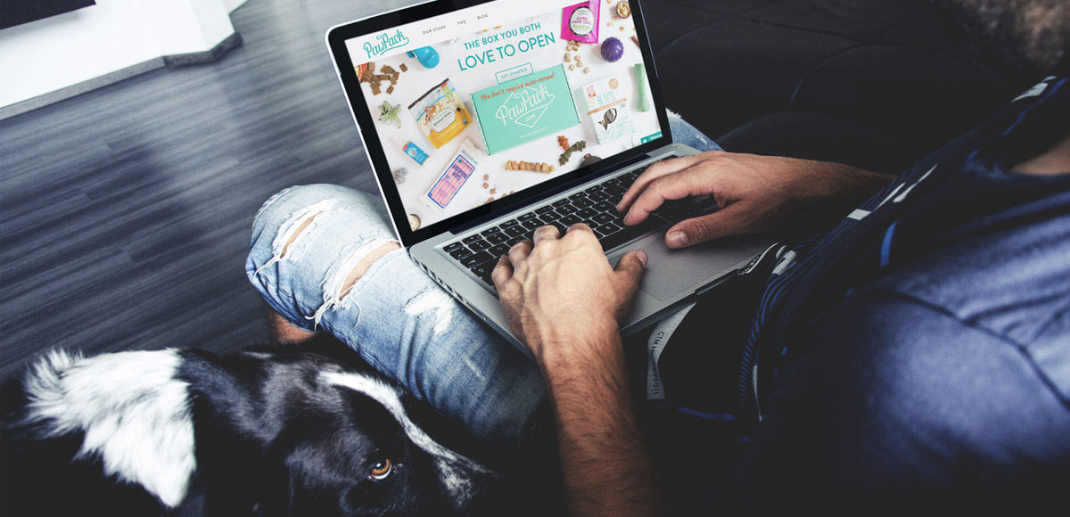 Premium Dog Products eCommerce Website | Dezmi Design